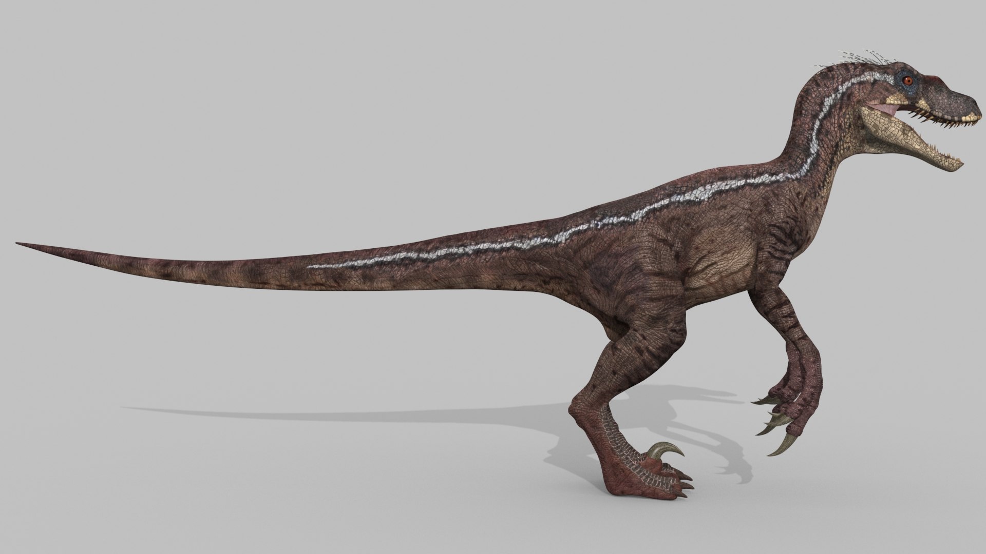 3D raptor - model https://p.turbosquid.com/ts-thumb/M0/9PdUBi/d2/2/jpg/1615832133/1920x1080/fit_q87/e4736c311501641bd64b8c38efb313f18a8c86c3/2.jpg