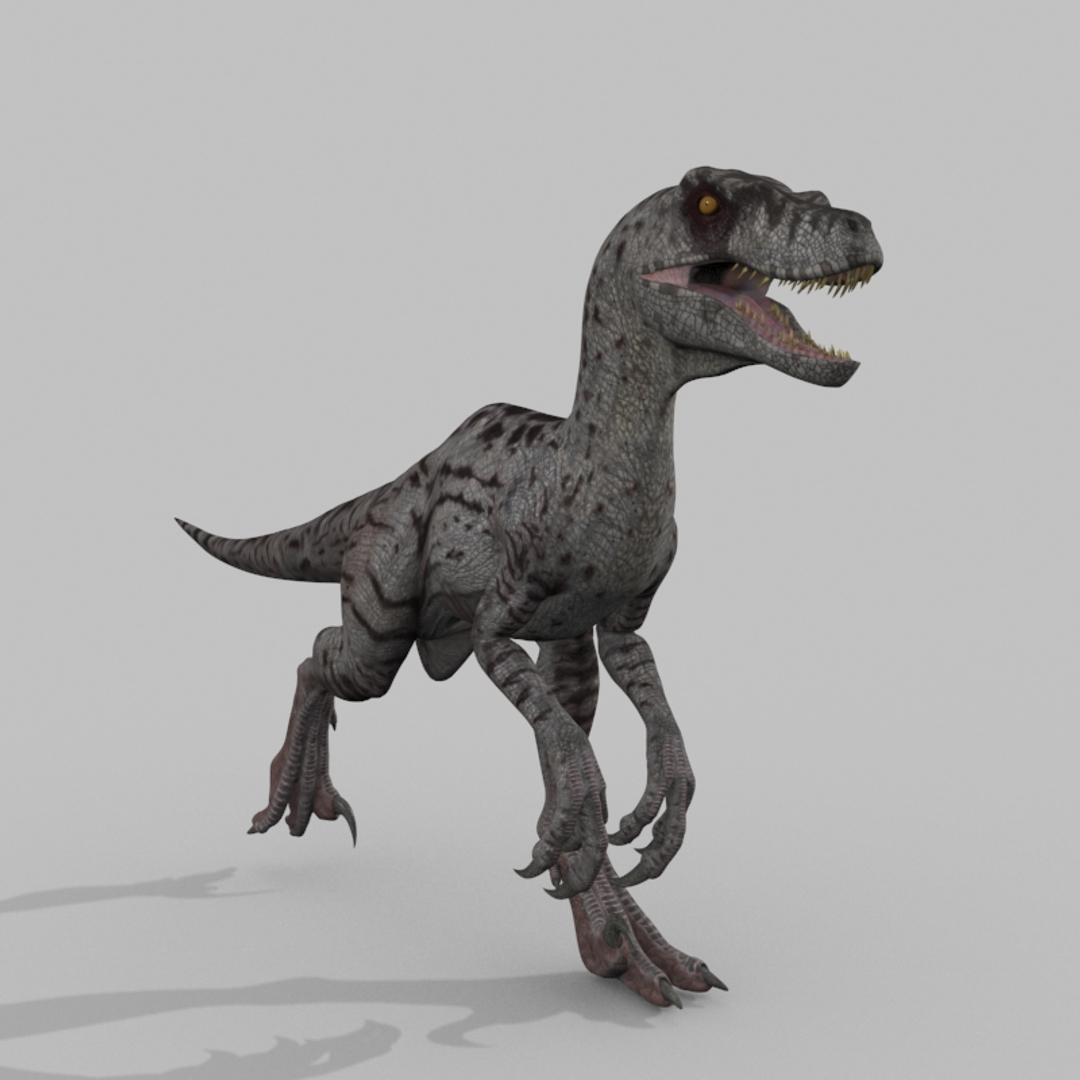 3D raptor - model https://p.turbosquid.com/ts-thumb/M0/9PdUBi/jf/image/jpg/1615832418/1920x1080/turn_fit_q99/3fd58fc6dfecb3b42f6522a912e4fa37c1844aaa/image-1.jpg