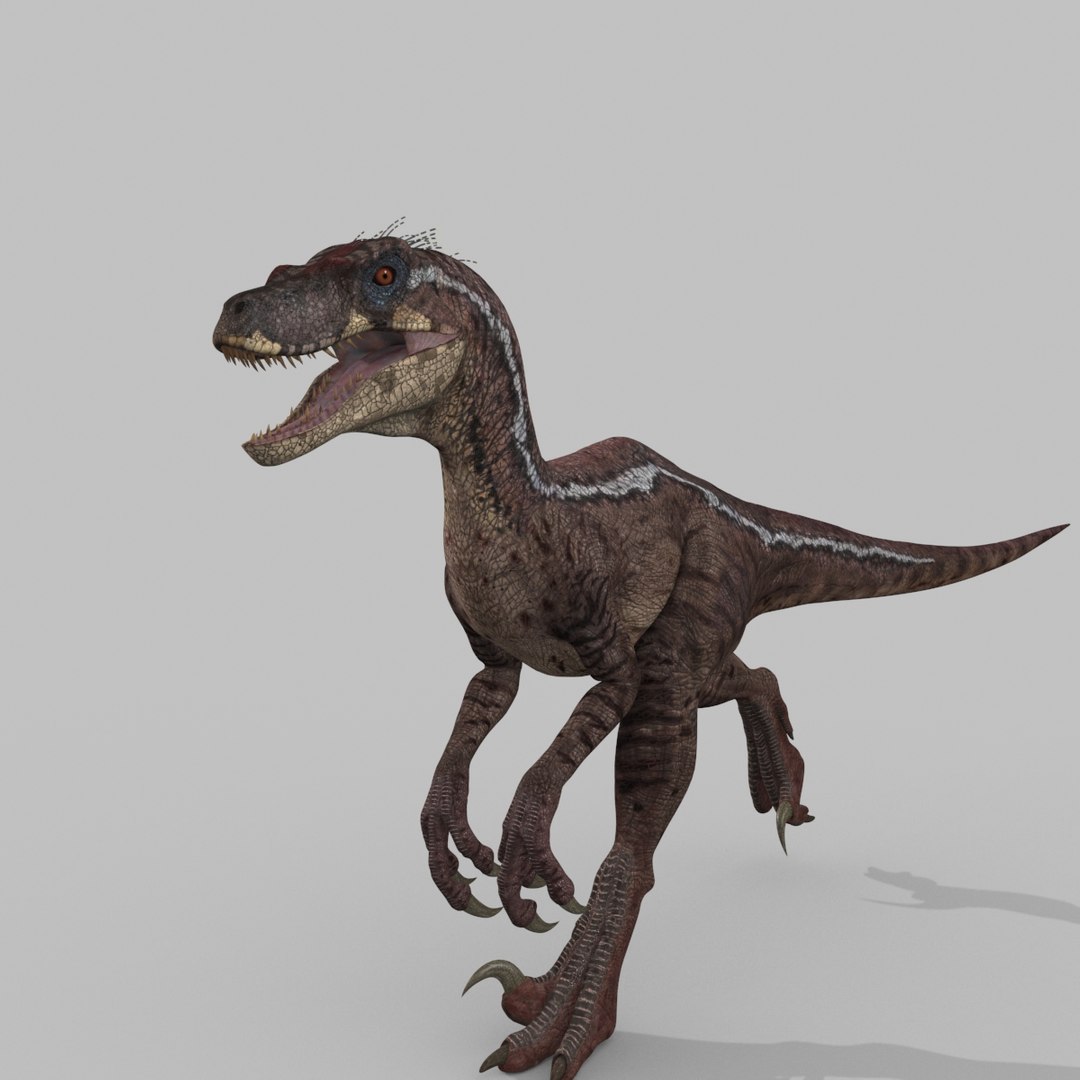 3D raptor - model - TurboSquid 1705307