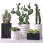 Contemporary plants 3