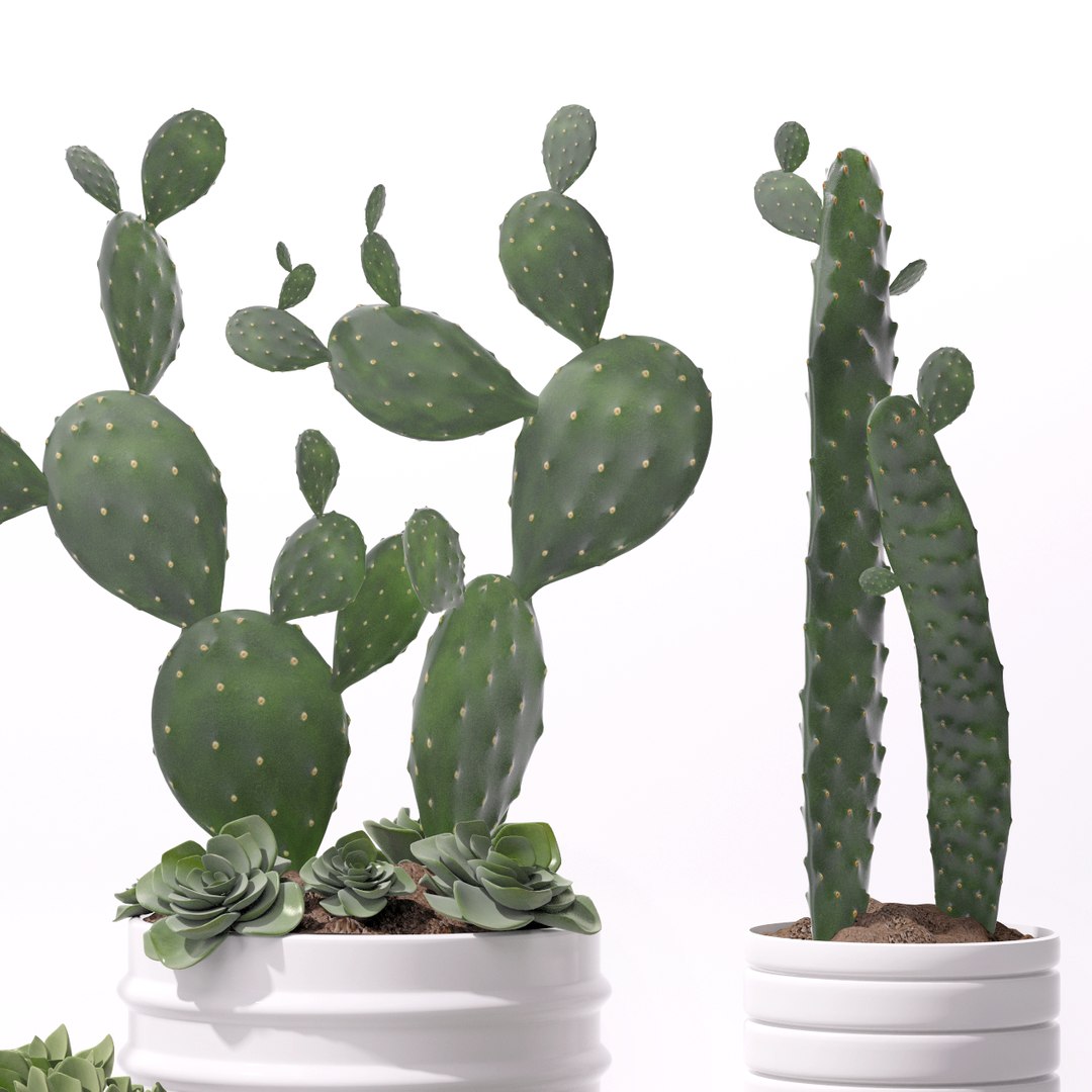 3d model contemporary plant https://p.turbosquid.com/ts-thumb/M0/AoMUid/Bv9q4EvB/4/png/1487086790/1920x1080/fit_q87/c7d1ebb1a6c10e083ae23ac13d76a27af0f2f61e/4.jpg