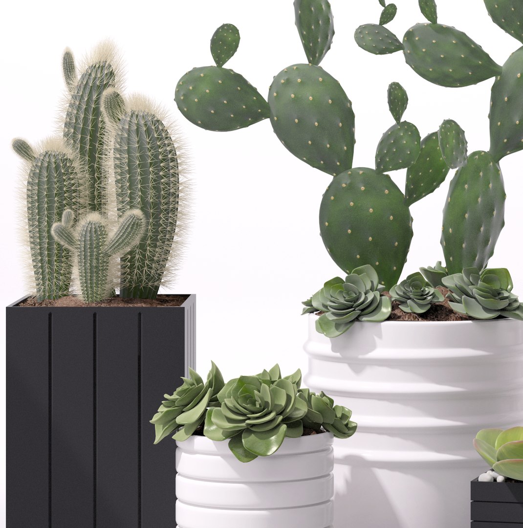 3d model contemporary plant https://p.turbosquid.com/ts-thumb/M0/AoMUid/brRw7wwv/5/png/1487086790/1920x1080/fit_q87/3dd48c0d8e4dcf03d0d636149dcee040e494a058/5.jpg