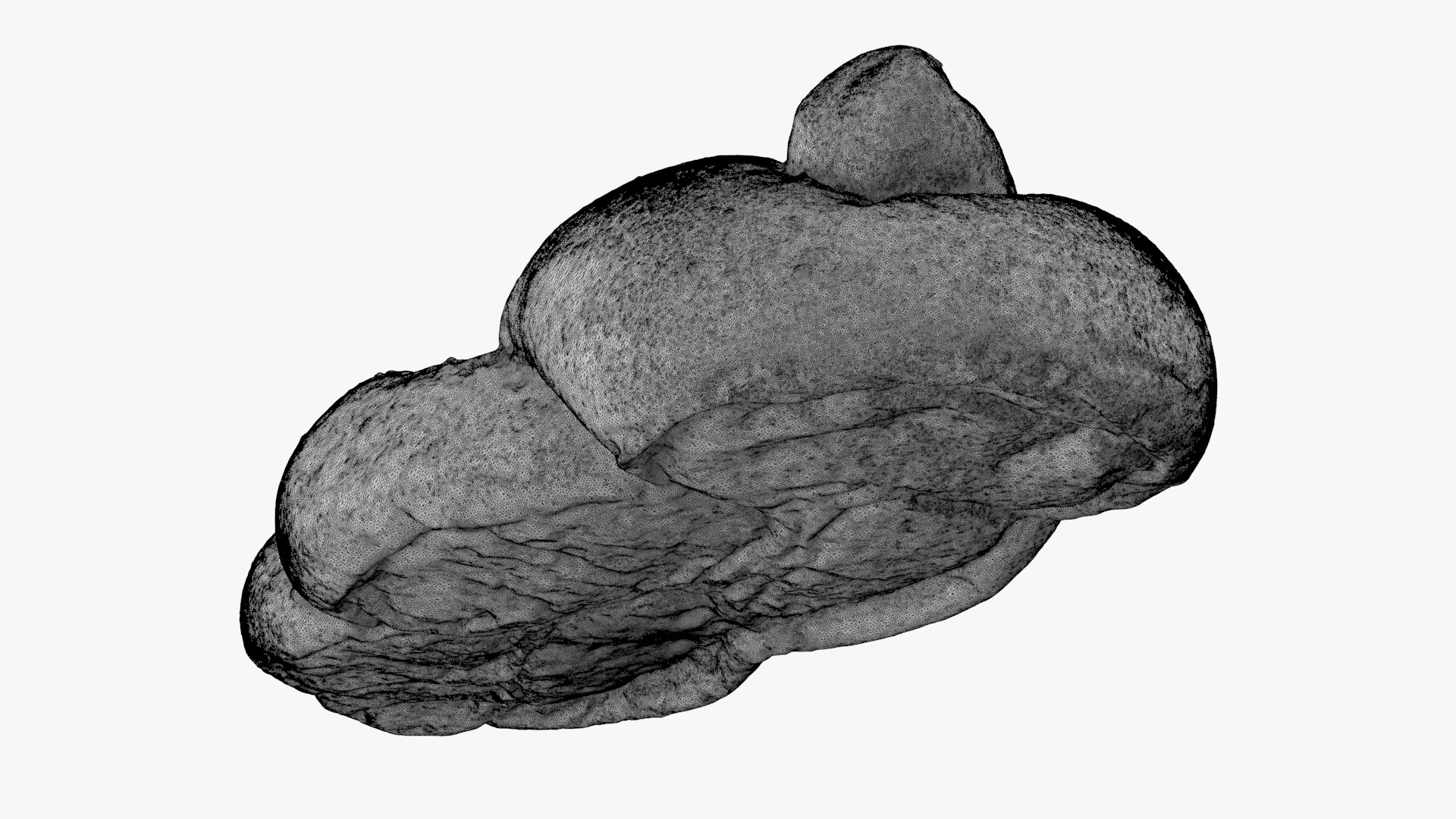 Challah Bread For 3D Print Model - TurboSquid 2336950