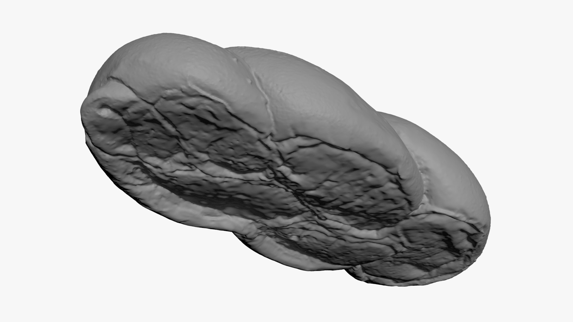 Challah Bread For 3D Print Model - TurboSquid 2336950