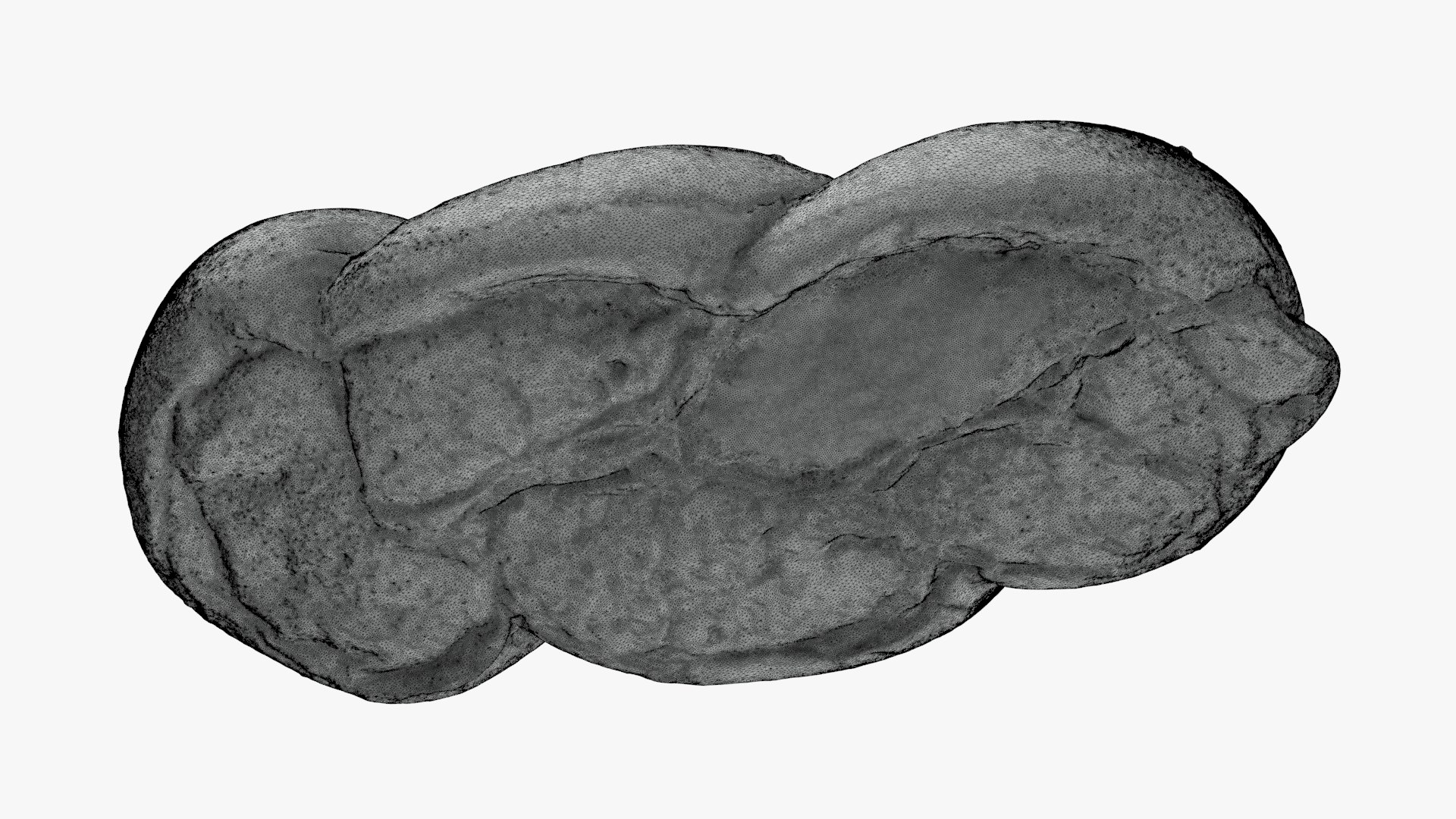 Challah Bread For 3D Print Model - TurboSquid 2336950