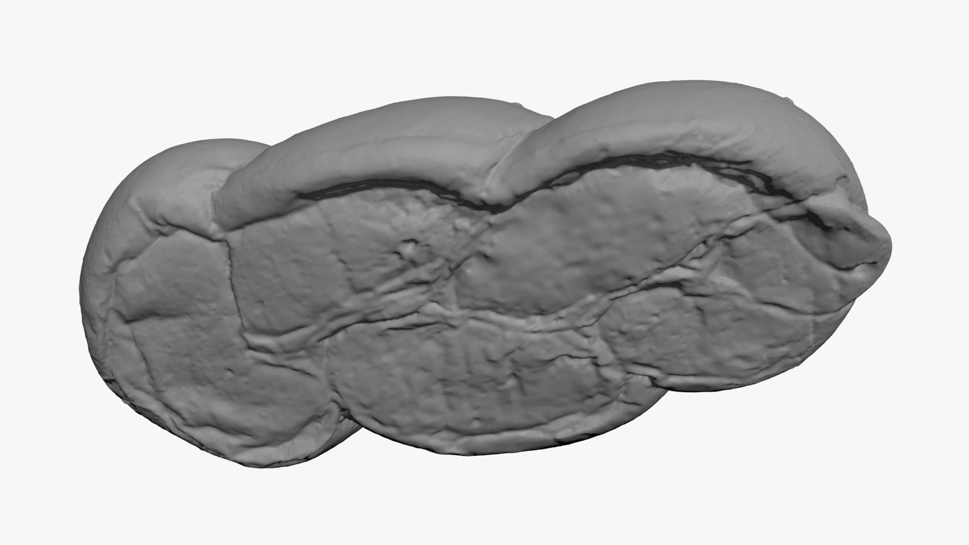 Challah Bread For 3D Print Model - TurboSquid 2336950