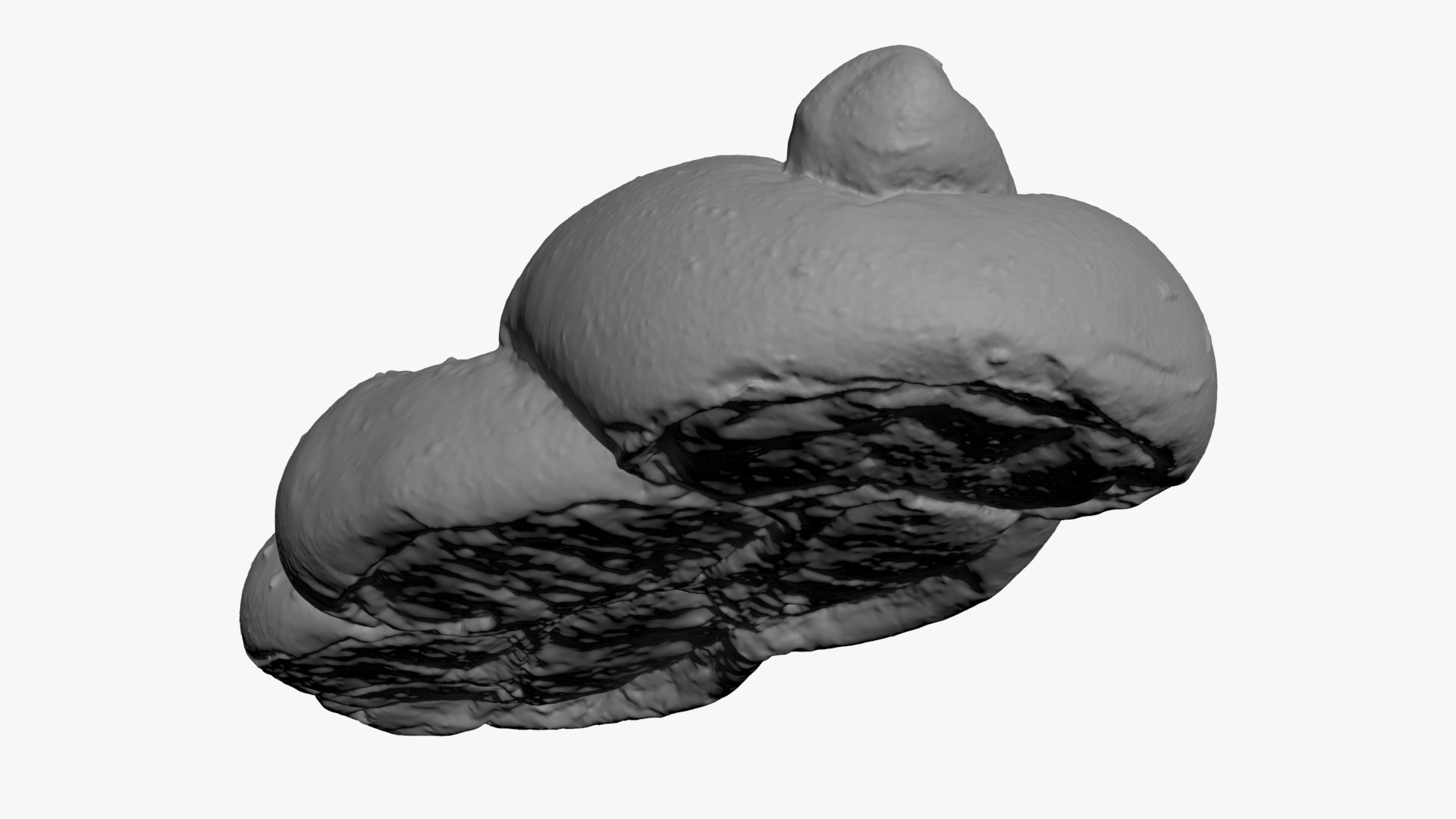 Challah Bread For 3D Print Model - TurboSquid 2336950