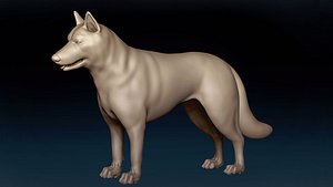 Siberian Husky Base Mesh 3D model 3D model