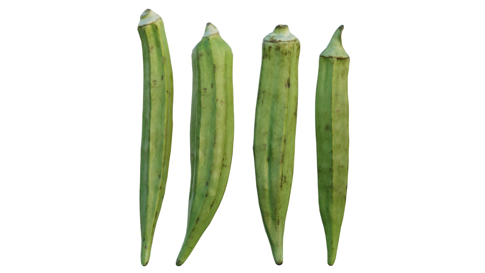 Fresh Okra 02 model https://p.turbosquid.com/ts-thumb/M0/fb8gDo/Cz/1_interactivelightmix/png/1656890660/1920x1080/fit_q87/cbd3b3b3fcfbed9c01535bcba35812f3ceb7afa5/1_interactivelightmix.jpg