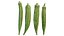 Fresh Okra 02