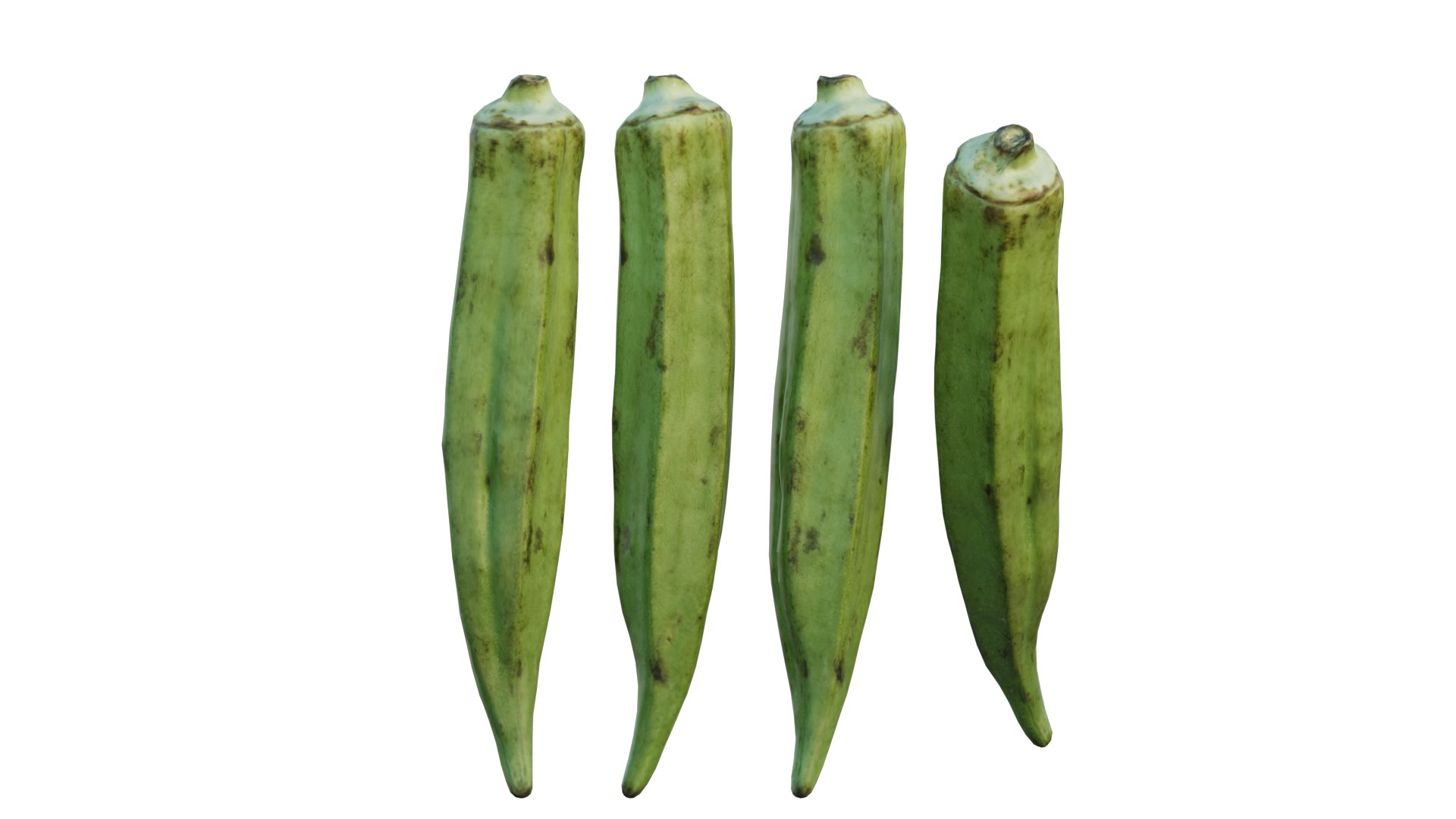 Fresh Okra 02 model https://p.turbosquid.com/ts-thumb/M0/fb8gDo/fc/6_interactivelightmix/png/1656890657/1920x1080/fit_q87/8c01e41fd824c7e2dd58a8a26b96288804e74f54/6_interactivelightmix.jpg