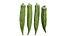 Fresh Okra 02