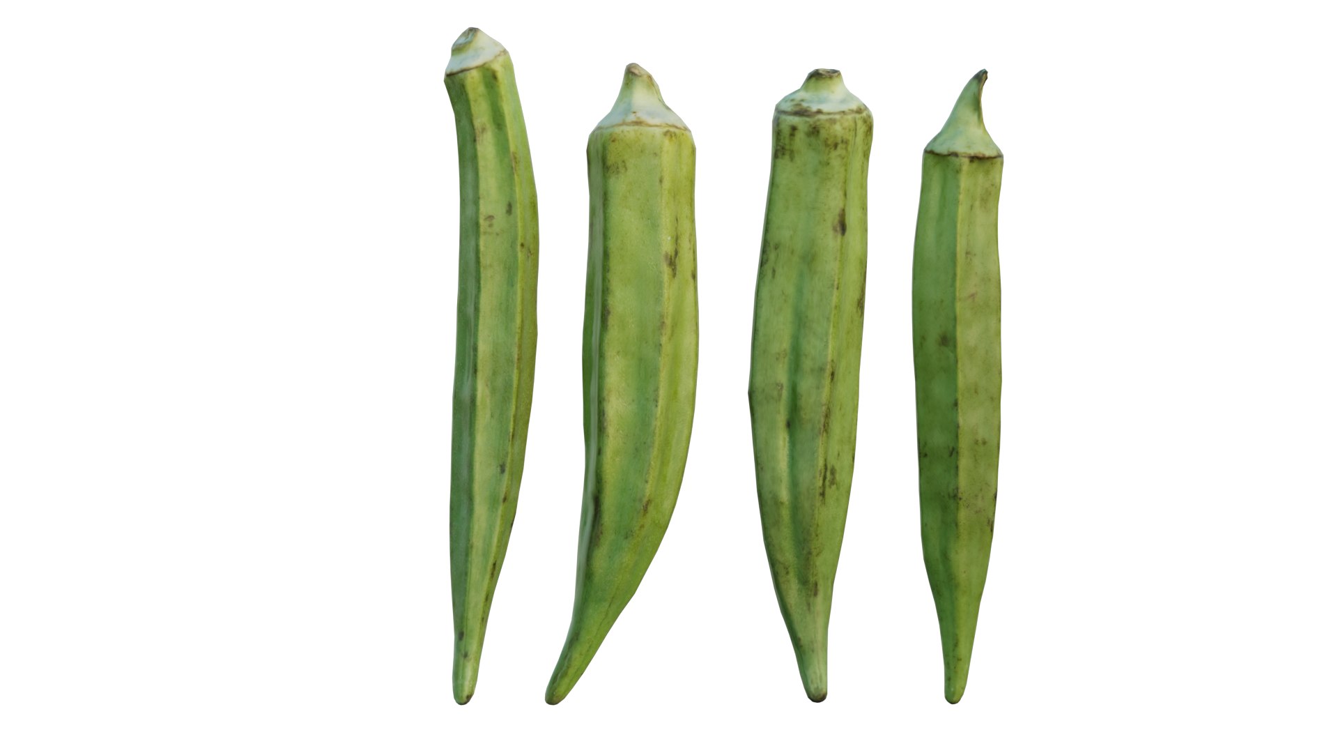 Fresh Okra 02 model https://p.turbosquid.com/ts-thumb/M0/fb8gDo/oG/3_interactivelightmix/png/1656890659/1920x1080/fit_q87/a4a65515e08395deb3ff714632dfc71b4e5d518e/3_interactivelightmix.jpg