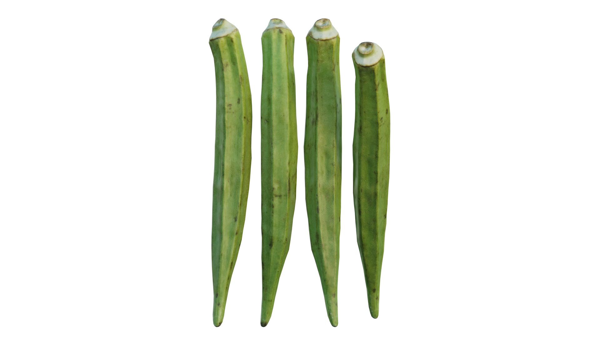 Fresh Okra 02 model https://p.turbosquid.com/ts-thumb/M0/fb8gDo/xb/4_interactivelightmix/png/1656890660/1920x1080/fit_q87/b249b49c5300580ed19157c426e94c7946d7aea1/4_interactivelightmix.jpg