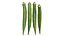 Fresh Okra 02