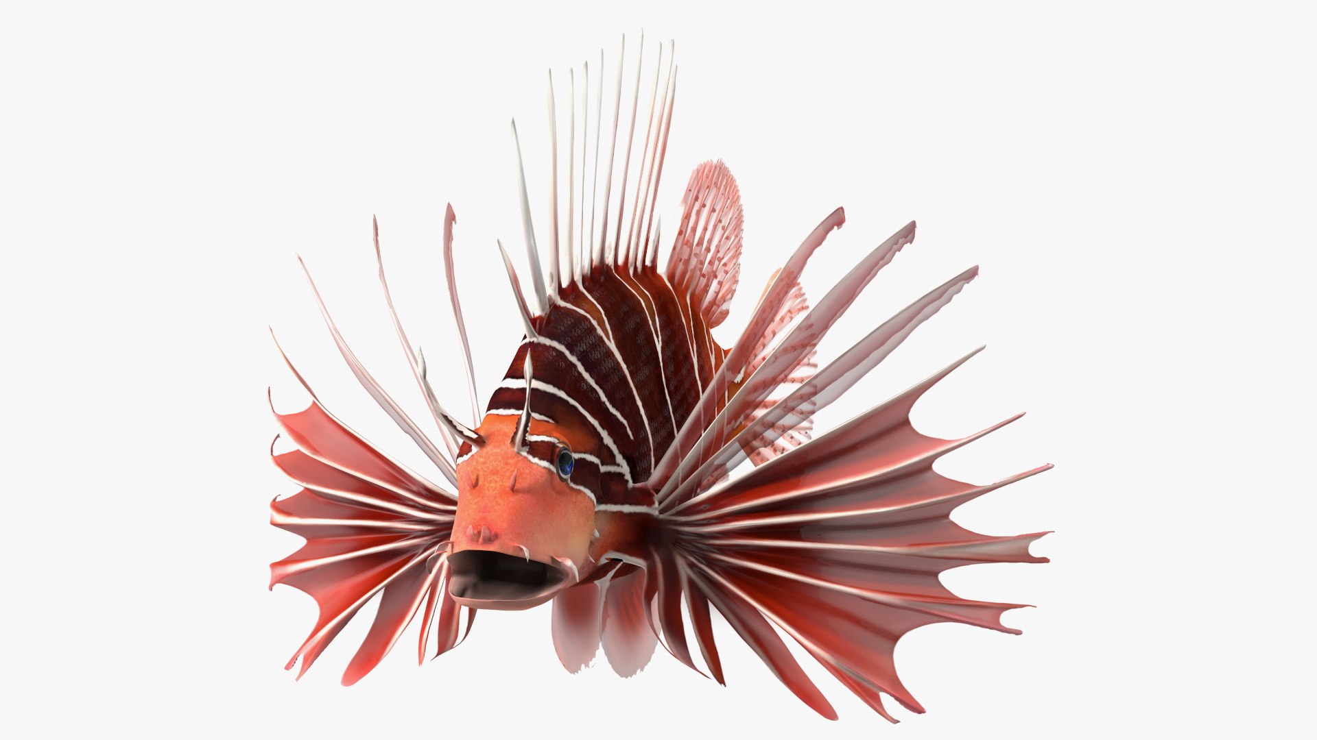 Clearfin Lionfish Rigged for Cinema 4D 3D model preview