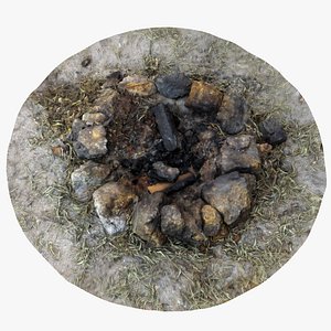 camp fireplace 3 3D model