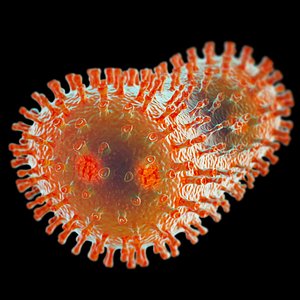 3d model bacteria bacillus