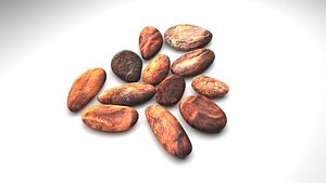 Cocoa Beans 3D model