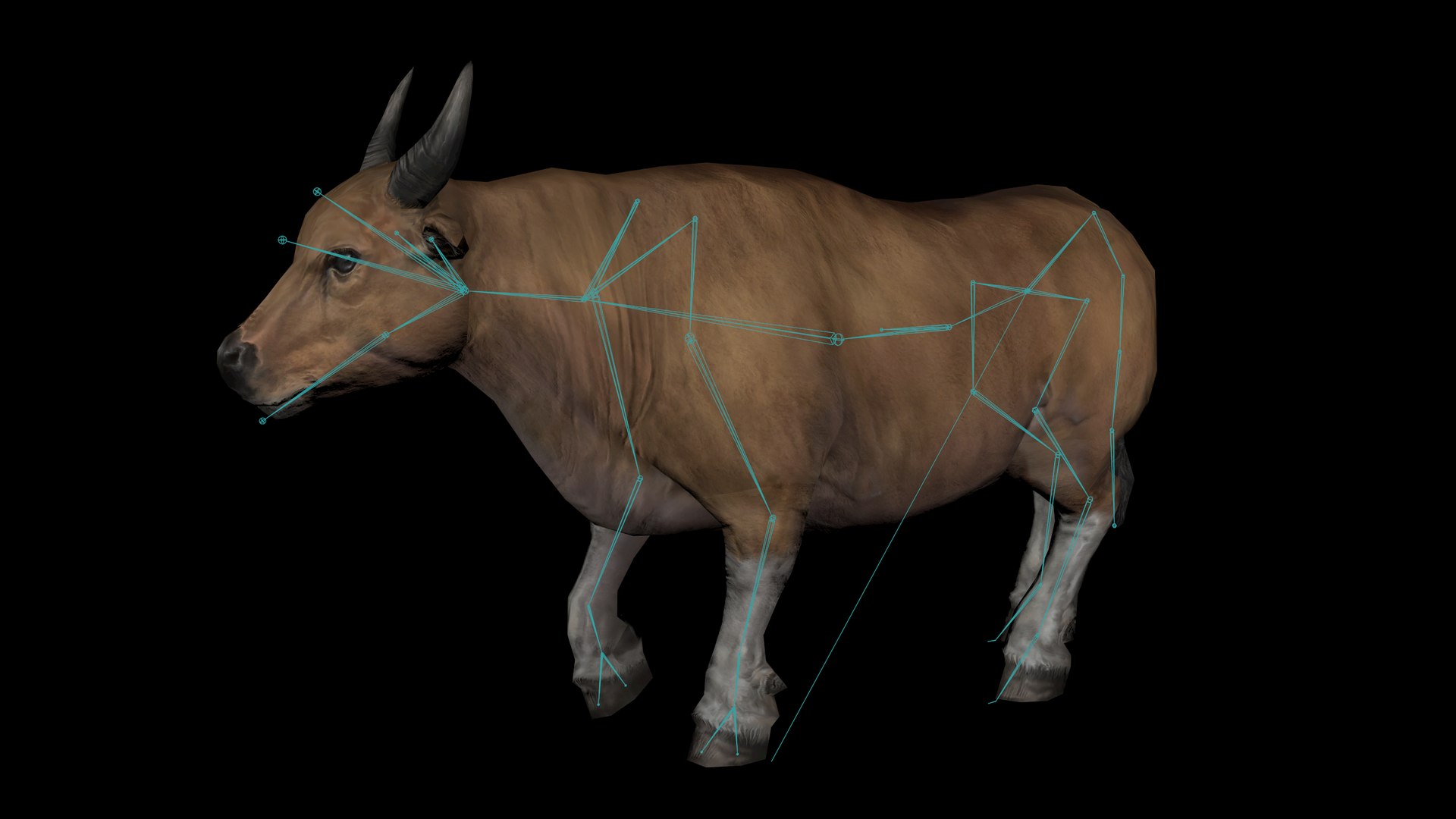 Lowpoly PBR Game Ready Bull Animation 3D Model - TurboSquid 2097036