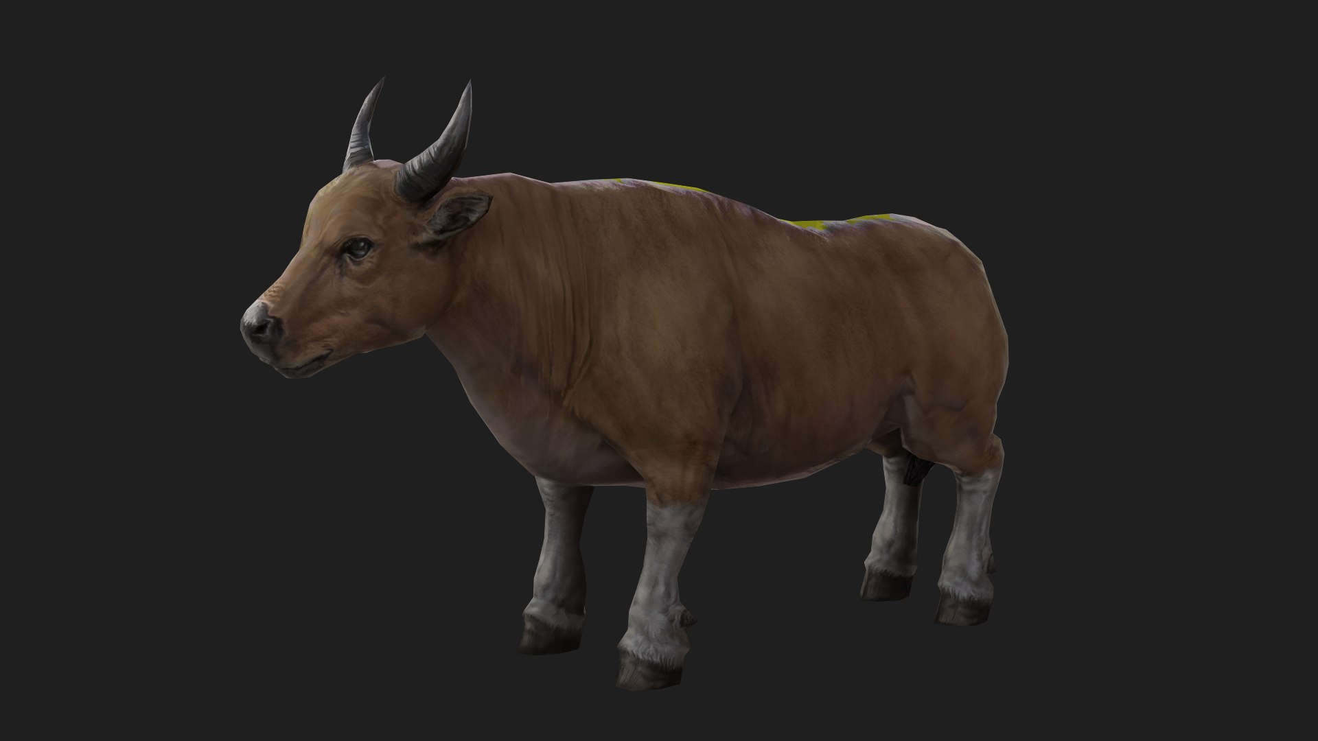 Lowpoly PBR Game Ready Bull Animation 3D Model - TurboSquid 2097036