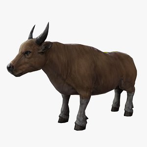Lowpoly PBR Game ready bull animation 3D model
