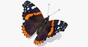 Vanessa Atalanta Butterfly with Fur 3D Model