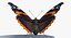Vanessa Atalanta Motyl z futrem