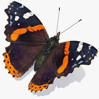 Vanessa Atalanta Butterfly with Fur 3D Model