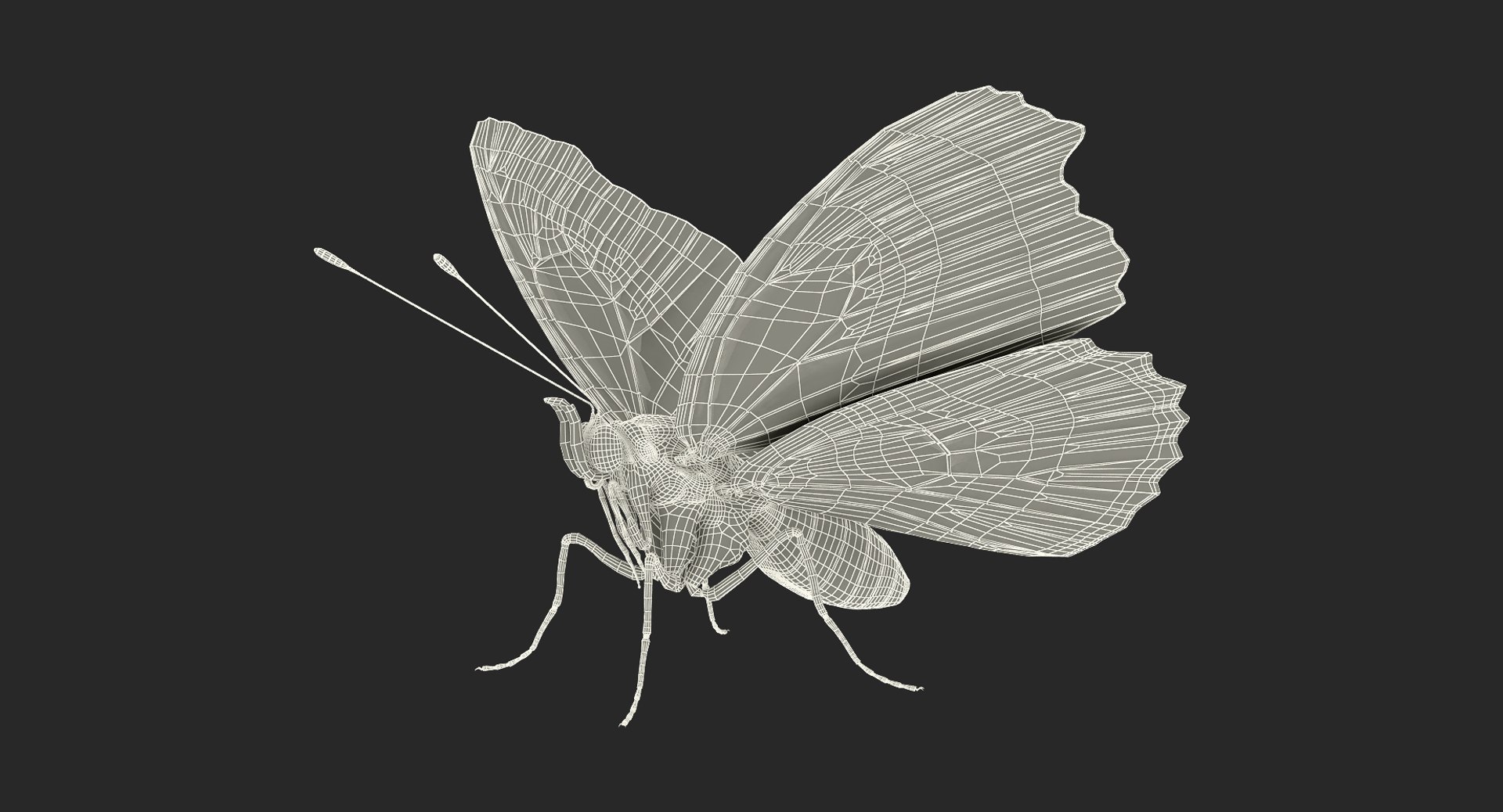 vanessa atalanta butterfly fur color 3D model https://p.turbosquid.com/ts-thumb/M1/2PkRWY/nOmLoTb6/vanessaatalantabutterflywithfur3dmodel061/jpg/1502516847/1920x1080/fit_q87/52d32585c9b94ac2f3925c6d822a47c97d8dd23d/vanessaatalantabutterflywithfur3dmodel061.jpg