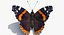 Vanessa Atalanta Motyl z futrem