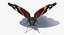 Vanessa Atalanta Motyl z futrem