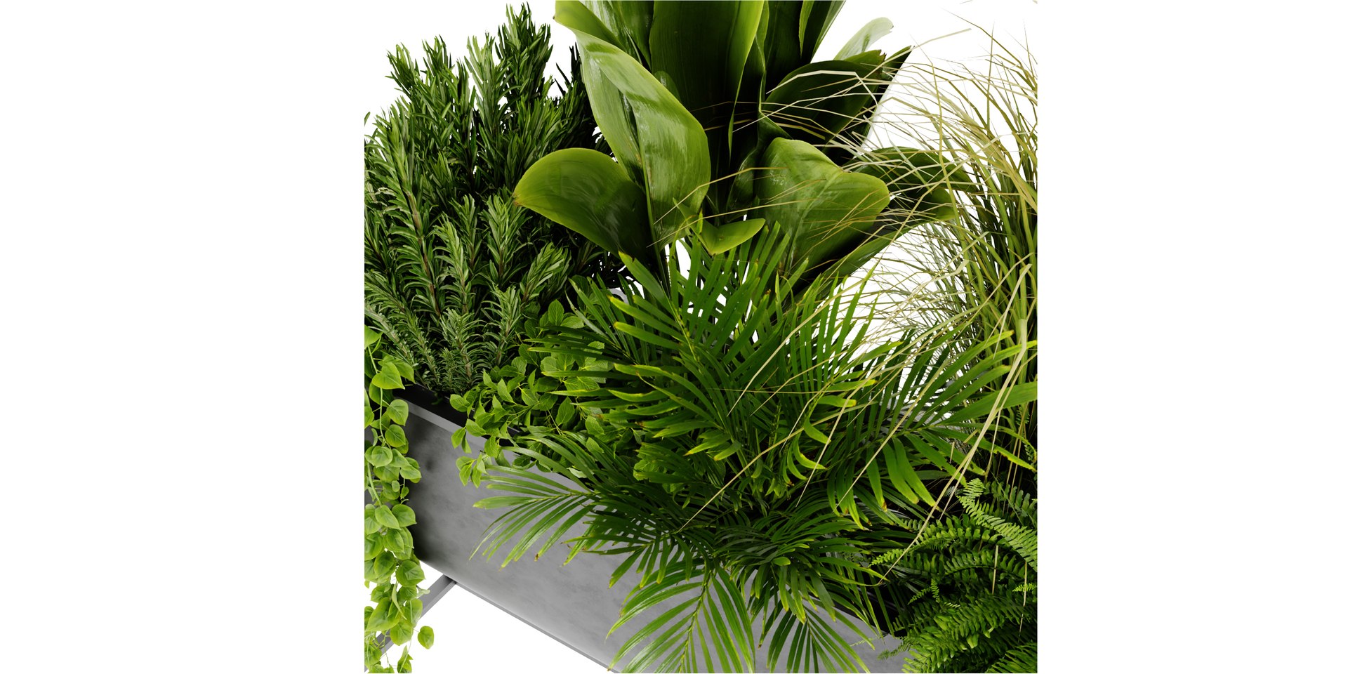 Collection plant vol 448 - blender model 3D model https://p.turbosquid.com/ts-thumb/M1/8wsoGJ/RO/6/jpg/1689844282/1920x1080/fit_q87/87585e8c494ce7535b541166ee575d07093763a4/6.jpg