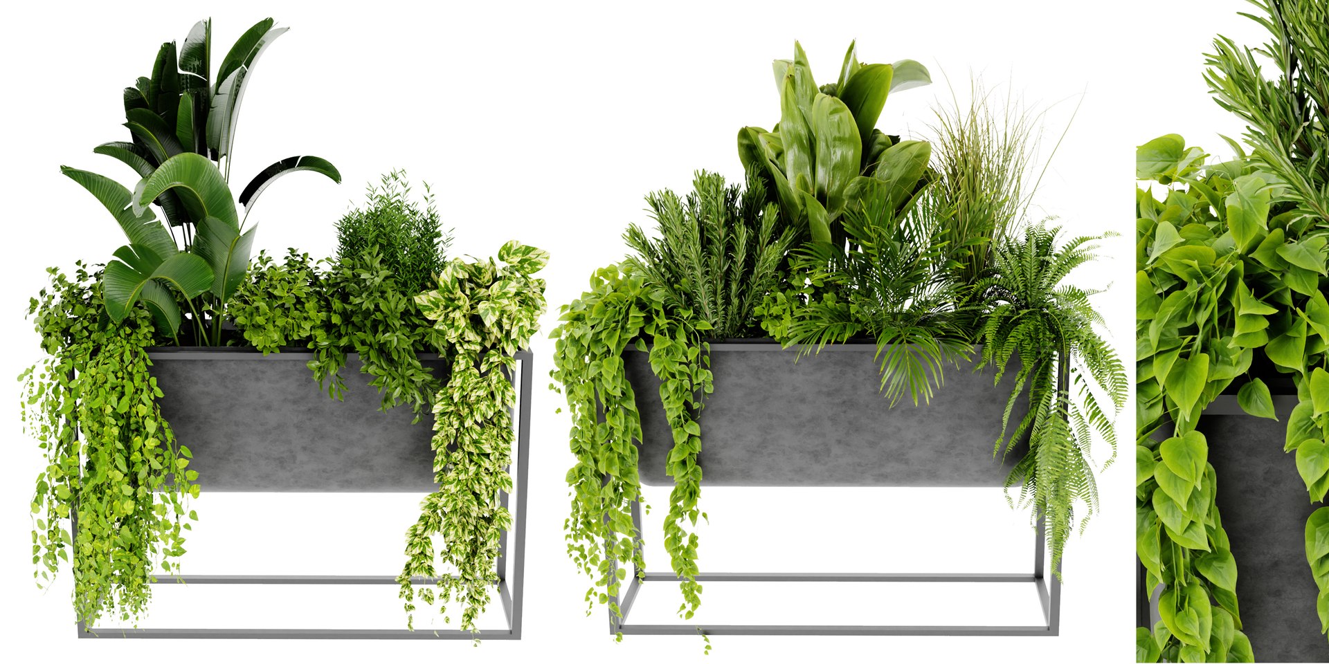 Collection plant vol 448 - blender model 3D model https://p.turbosquid.com/ts-thumb/M1/8wsoGJ/kT/448/jpg/1690381054/1920x1080/fit_q87/f0846bd78691b22f04bbe4b0b09fd9b015183282/448.jpg