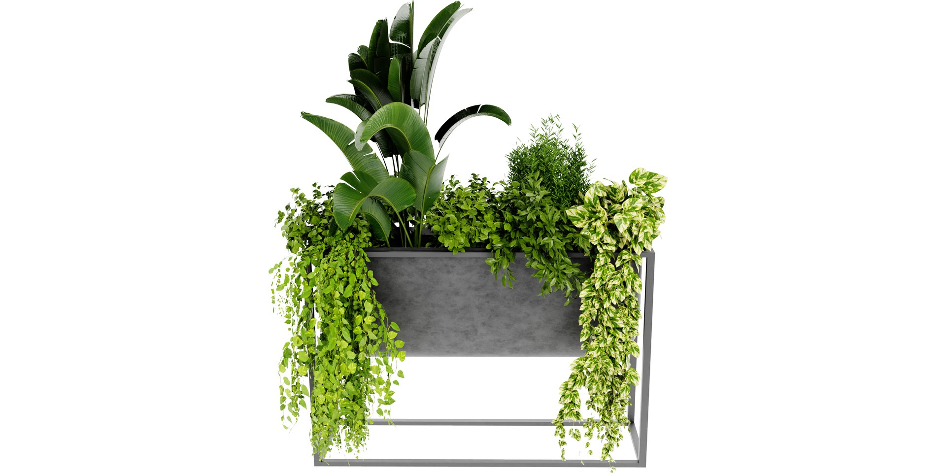 Collection plant vol 448 - blender model 3D model https://p.turbosquid.com/ts-thumb/M1/8wsoGJ/vO/3/jpg/1689844284/1920x1080/fit_q87/3c7ffff837fc4d40af91a3a85d0ec5ae308aff42/3.jpg
