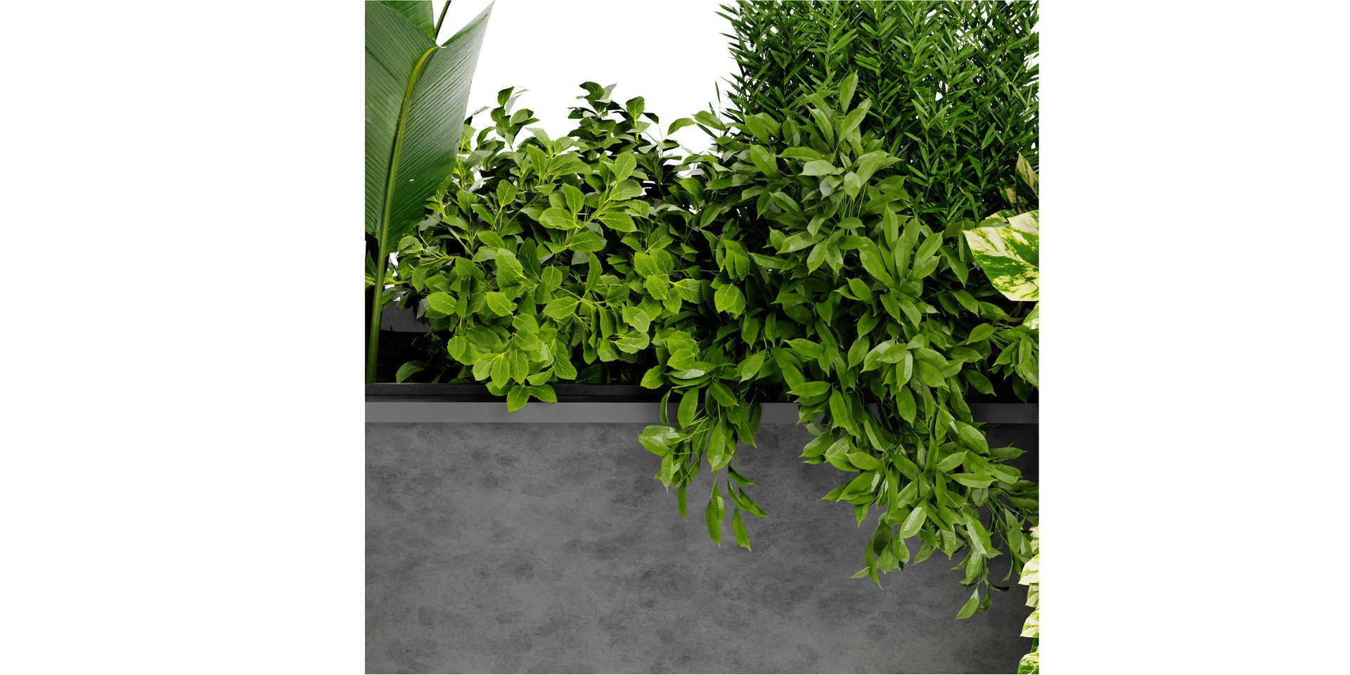 Collection plant vol 448 - blender model 3D model https://p.turbosquid.com/ts-thumb/M1/8wsoGJ/wS/4/jpg/1689844281/1920x1080/fit_q87/75772cb52a4307128726ceed519d3fb0fdc5e14b/4.jpg