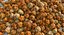 Puffed Honey