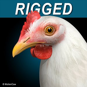 Chicken - White