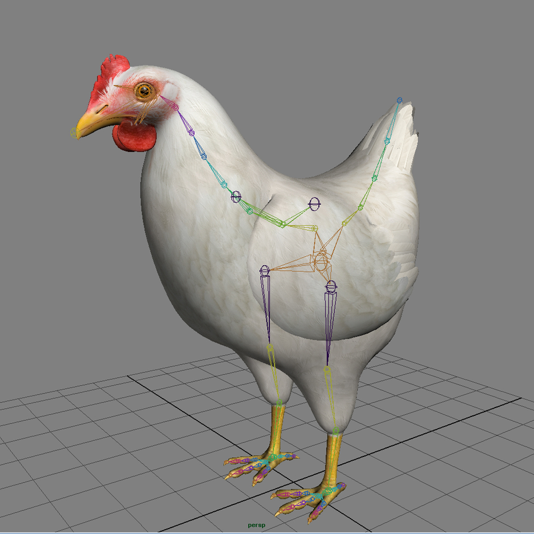 white chicken 3d model