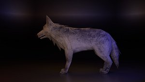 3D Rigged wolf Lowpoly 3D model