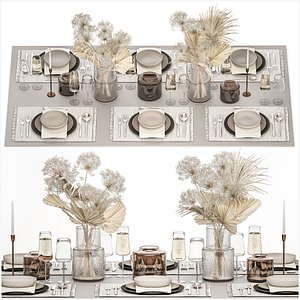 3D Table setting for 6 persons with a bouquet of dried flowers
