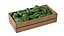 Colección de cajas de madera para frutas 50