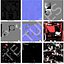 Acura TLX 2015