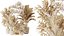 AV Zimmerpflanzen Set 150 Lutescens Areca Palme und Ficus Cyathistipula und Paradise Kentia Everlastin