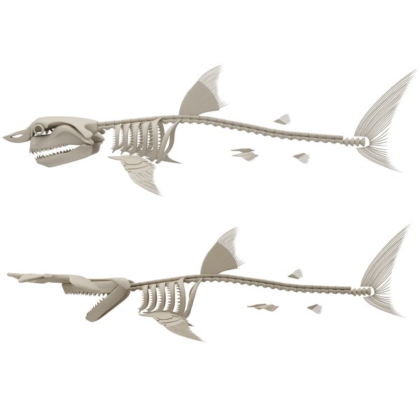 Fish Bone 3D Models for Download | TurboSquid