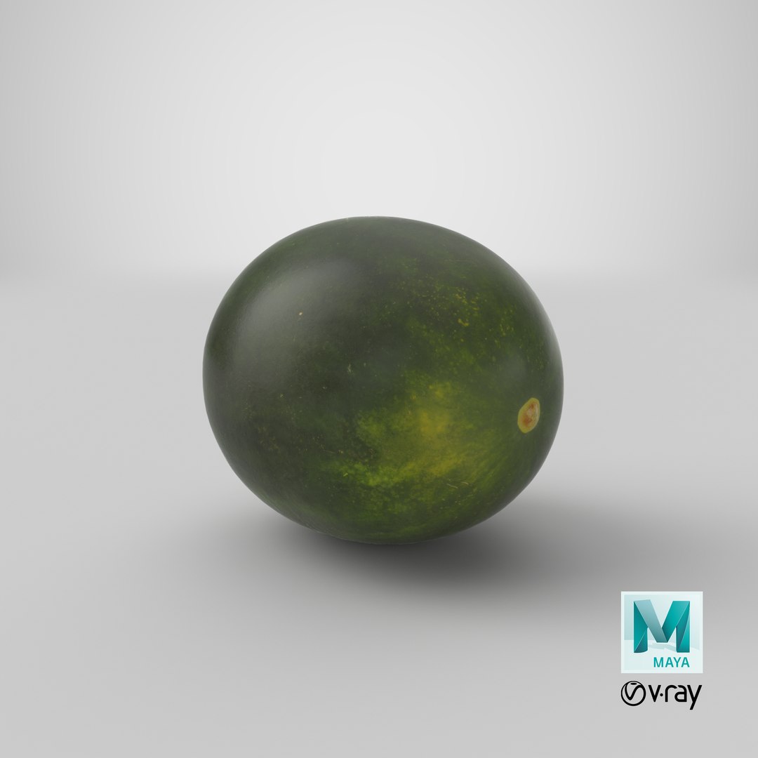 Watermelon v-ray 3D - TurboSquid 1339804