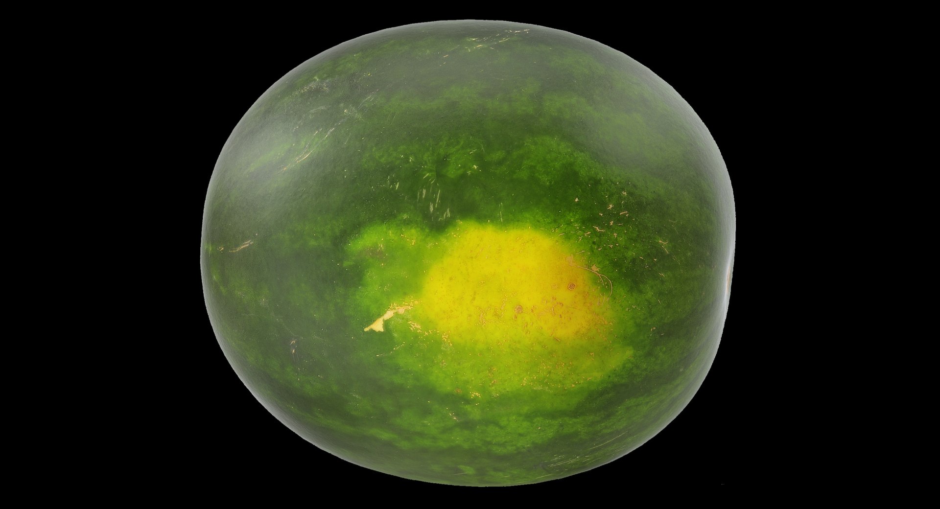 Watermelon v-ray 3D - TurboSquid 1339804