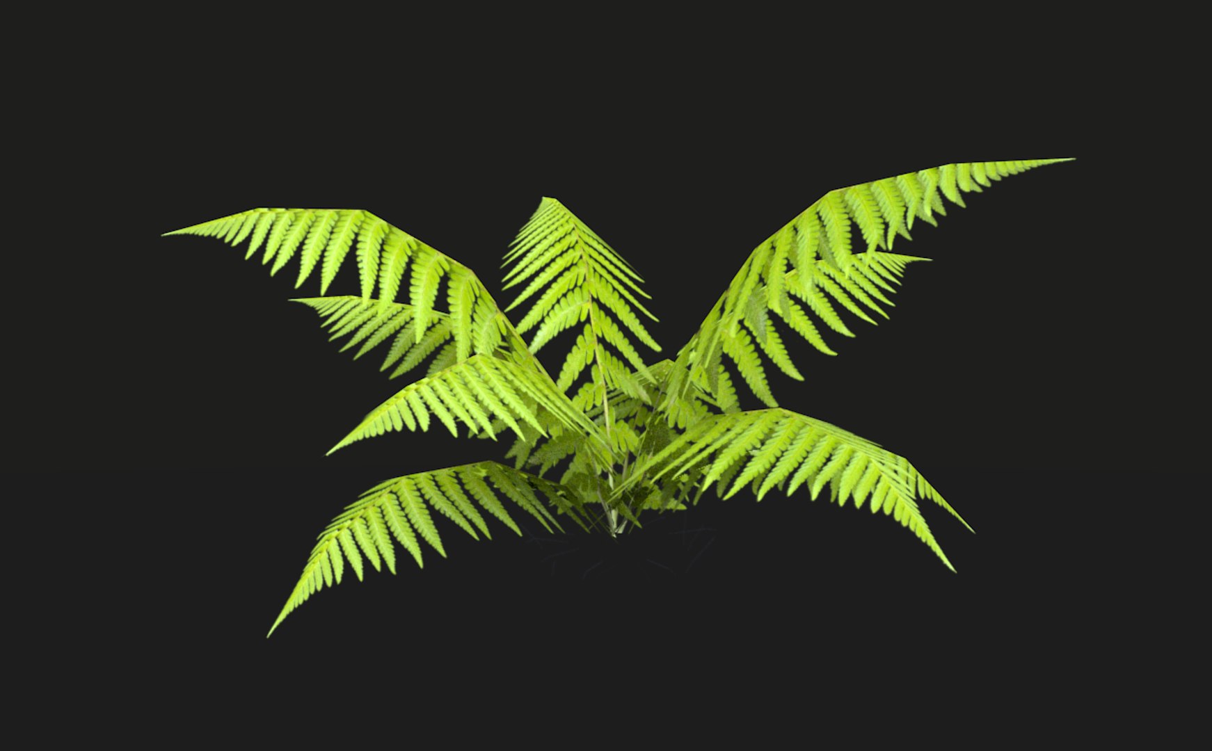 3D model tropical vegetation pack https://p.turbosquid.com/ts-thumb/M1/t1tBRz/C7OwYVKB/rend21/png/1554029713/1920x1080/fit_q87/c55b9c4848d64e3358e67a2e441adf3059a0dc91/rend21.jpg
