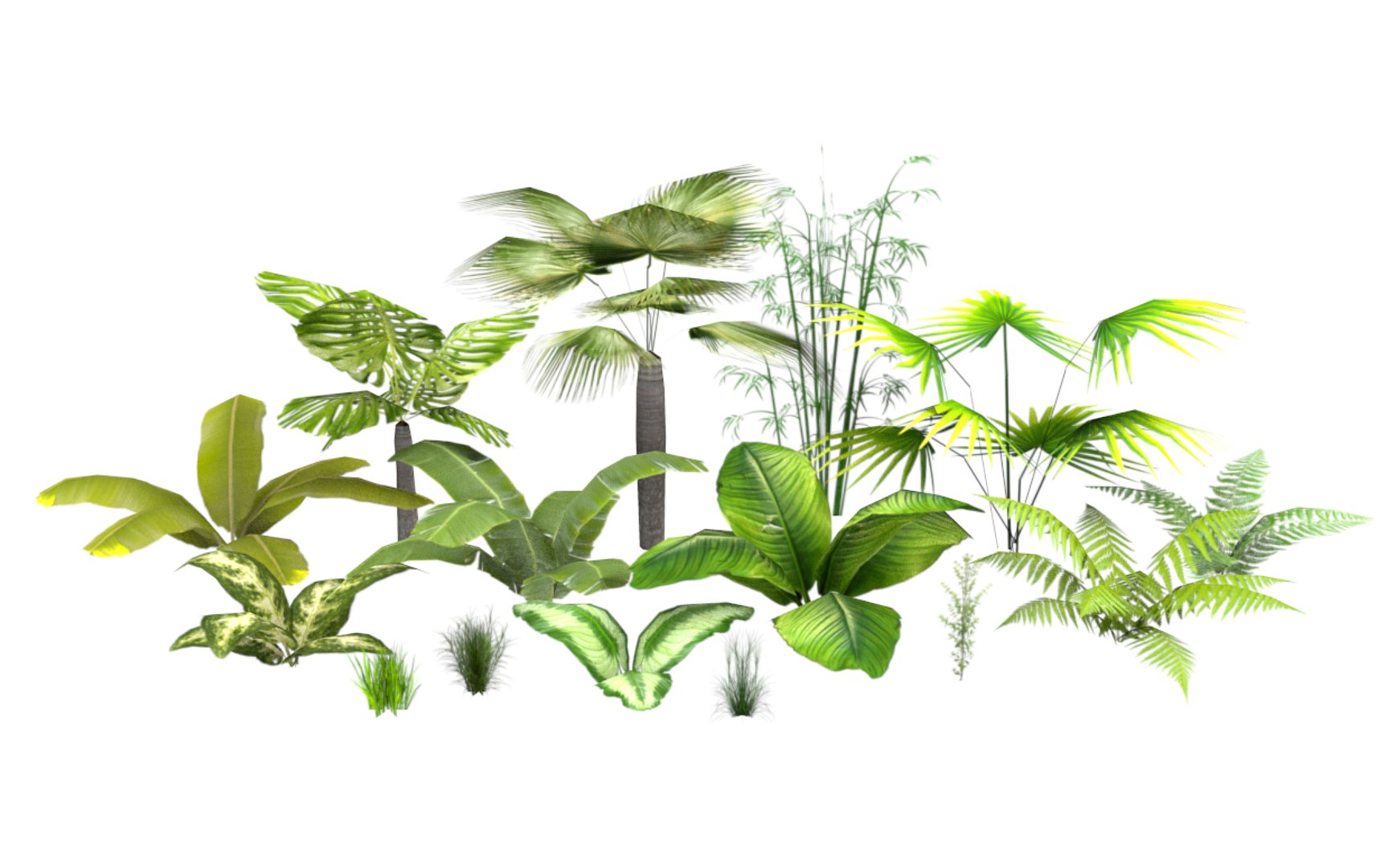 3D model tropical vegetation pack https://p.turbosquid.com/ts-thumb/M1/t1tBRz/SdvzOCrm/rend10/png/1554029517/1920x1080/fit_q87/55c33a165909a554bba9ab72841e971e759dbc11/rend10.jpg