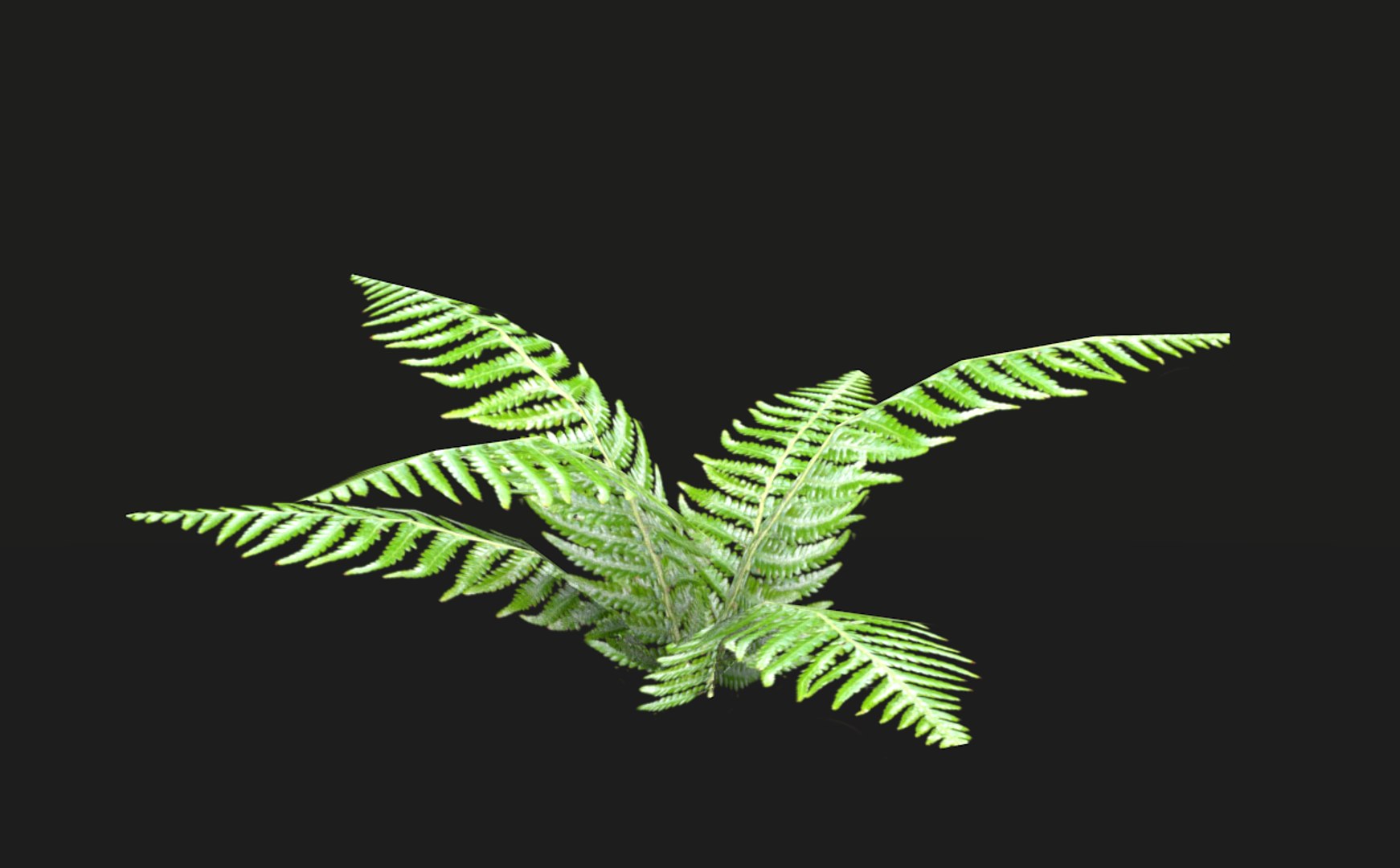 3D model tropical vegetation pack https://p.turbosquid.com/ts-thumb/M1/t1tBRz/gBif14rg/rend20/png/1554029701/1920x1080/fit_q87/130d1960ae8c416cd432d1c4bc61ef1795e8918d/rend20.jpg
